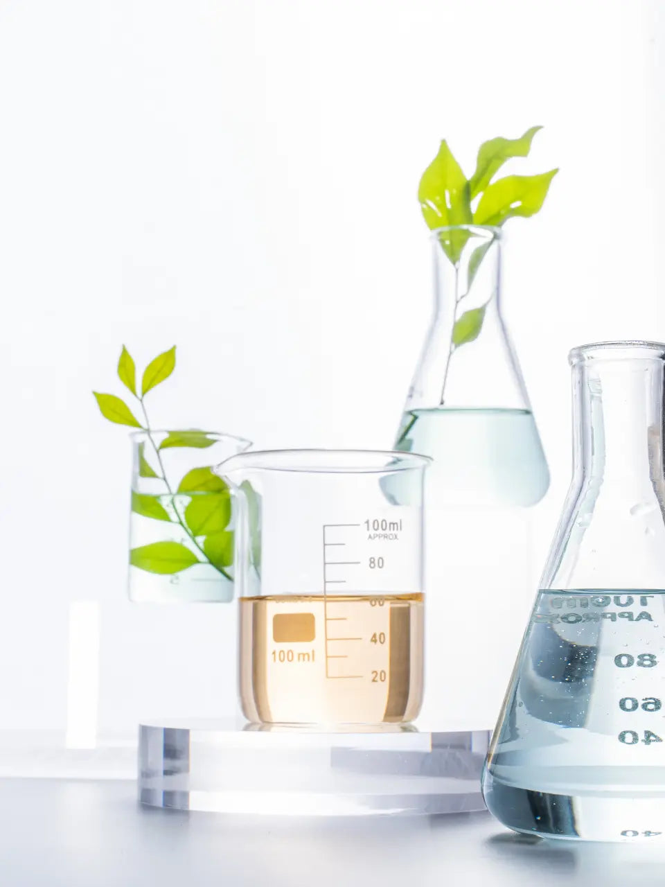Ingredienser til sensitiv hud bør fokusere på plantebaserede lipider, essentielle fedtsyrer og lav irritationsrisiko.