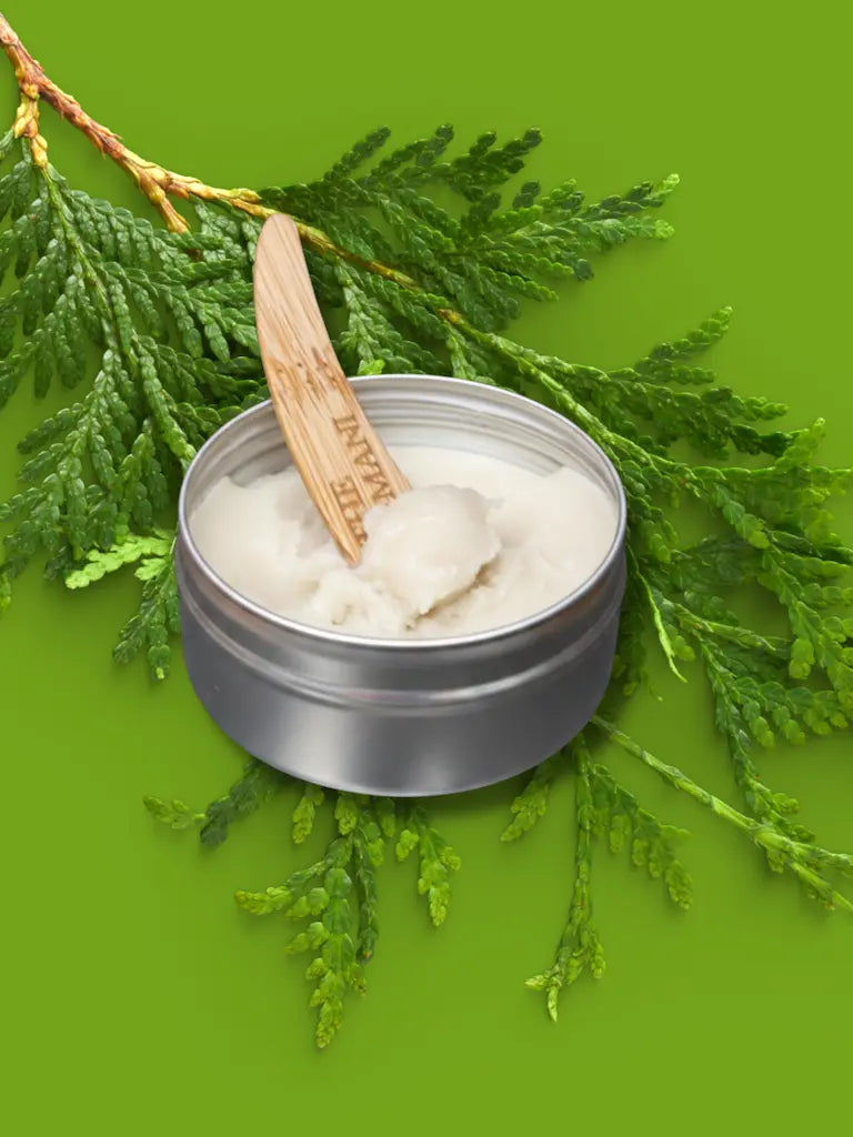 Saltwood Creme Deodorant viser sin silkebløde tekstur. Molekylærbiologisk udviklet kropspleje, der stopper lugt naturligt uden at blokere med aluminium.