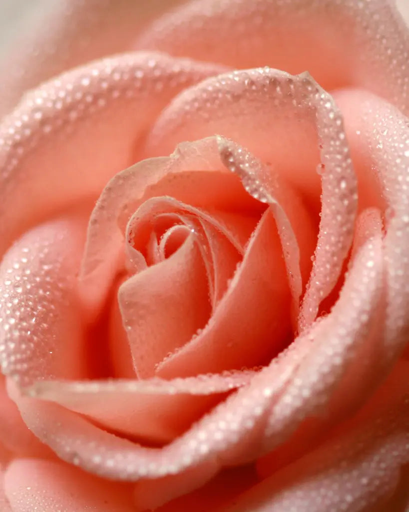 Kvinde med sund hud og naturlig glød efter brug af THE INMANI ansigtsolie ritual.