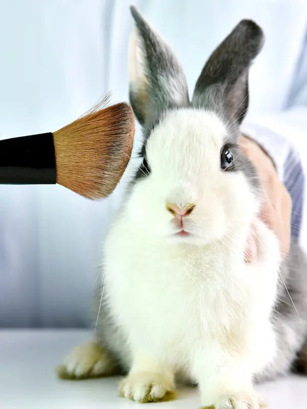 THE INMANI cruelty-free og vegansk hudpleje med 100% plantebaserede ingredienser og fuld transparens